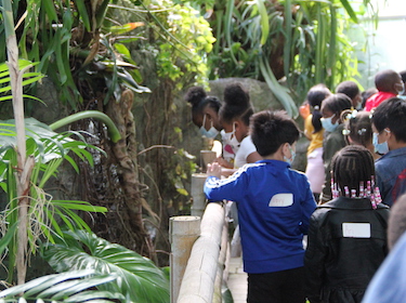  Students On Field Trip